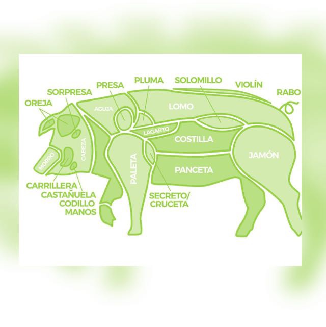 Partes y cortes del cerdo ibérico 
